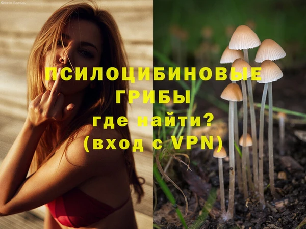 дживик Алзамай