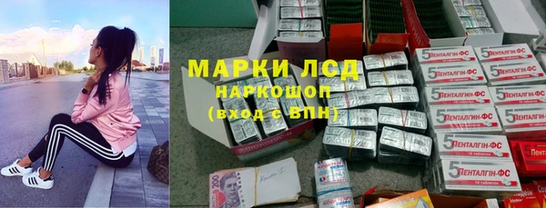 дживик Алзамай