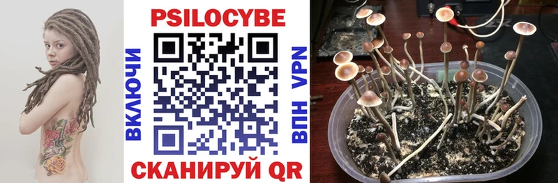 Галлюциногенные грибы Cubensis  ОМГ ОМГ ССЫЛКА  даркнет состав  Туринск 